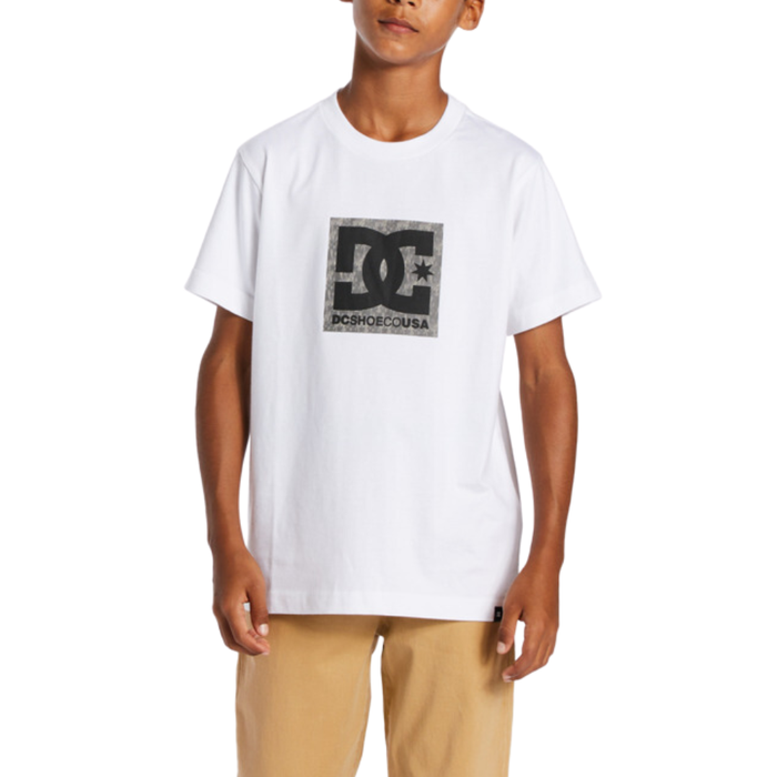 DC - DCSQUARSTARFILL  TEES  - WHITE/GREYSTONE - T-Shirt