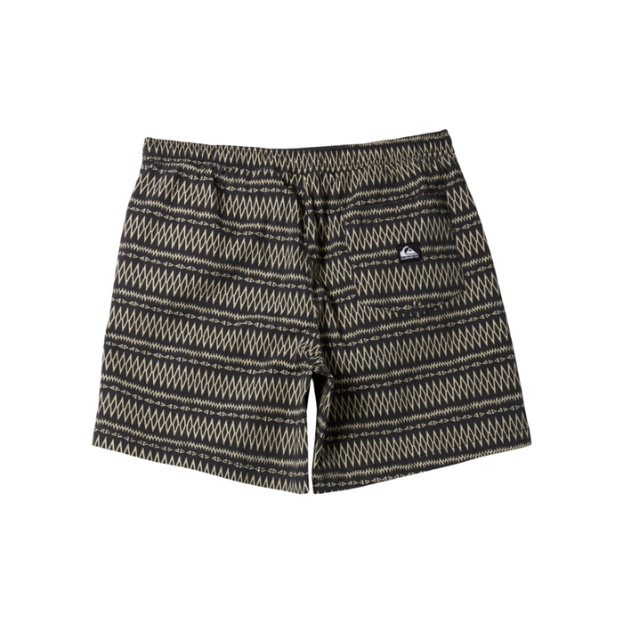 Quiksilver - TAXER - TARMAC TAXER WS - Short