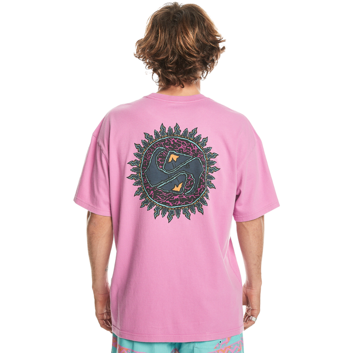Quiksilver - SPIN CYCLE SS - VIOLET - T-Shirt