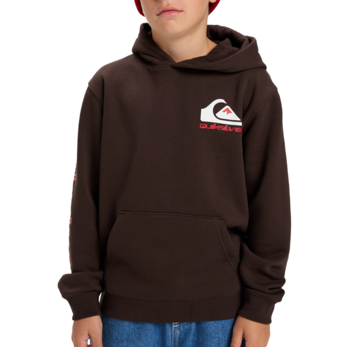 Quiksilver - Omni Logo Hoodie Youth - Chocolate Brown - Hoodie