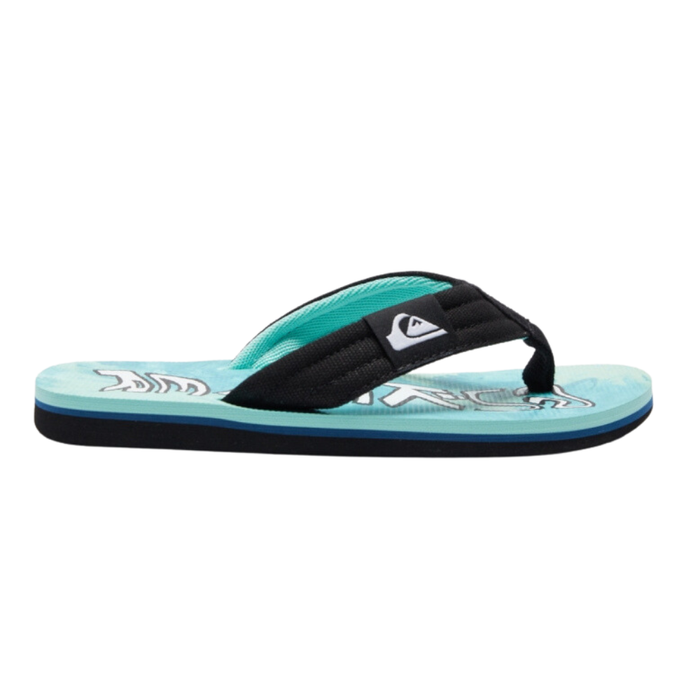 Quiksilver - MOLOKAI LAYBACK II  YOUTH - GREEN/BLUE/YELLOW - Flip Flop