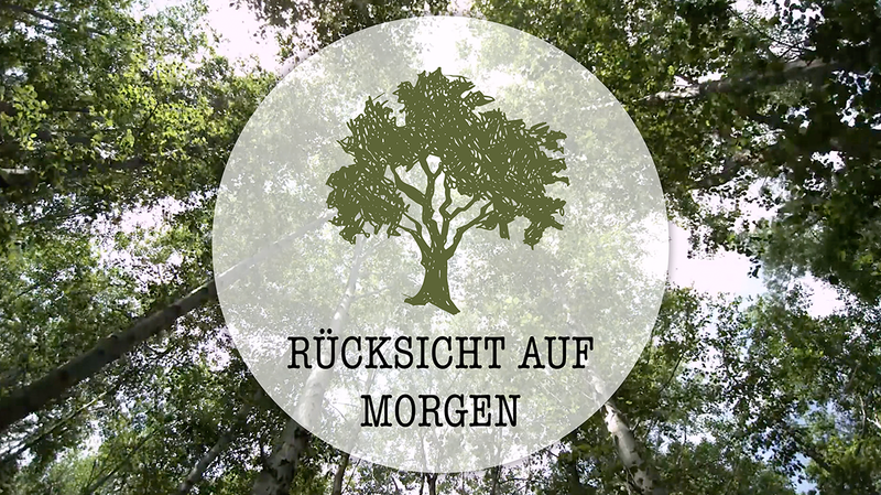 Unser Weg Rücksicht auf Morgen