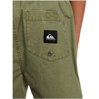 Quiksilver - TAXER WS YOUTH - FOUR LEAF CLOVER - Short