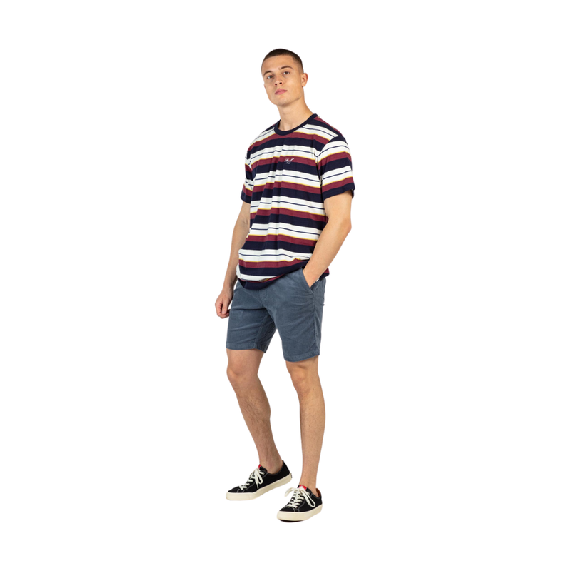 Reell - Reflex Easy Short - Baby Cord Blue Grey - Short
