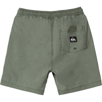 Quiksilver - TAXER YOUTH - SEA SPRAY - Short