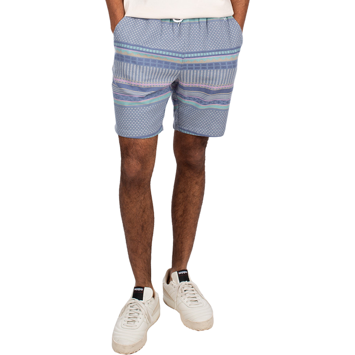 Iriedaily - Vintachi Short  - dove blue - Short