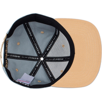 Iriedaily - Daily Flag 20 Snapback  - beryl green - Snapback Cap