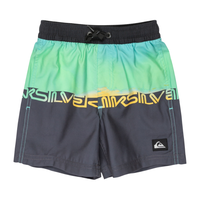 Quiksilver - Everyday Straight Vly Boy 12 - Summer Green Wordblock - Swimshort