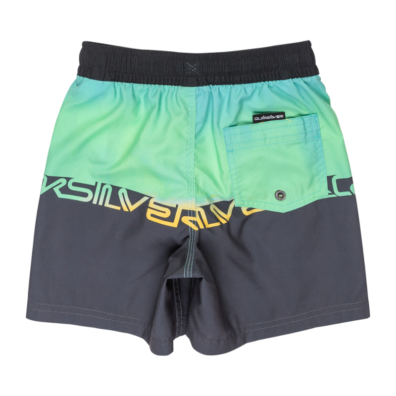 Quiksilver - Everyday Straight Vly Boy 12 - Summer Green Wordblock - Swimshort