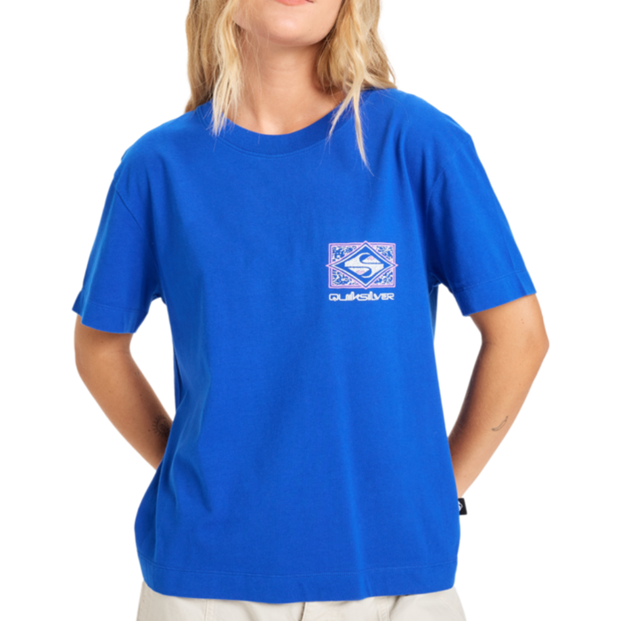 Quiksilver - Standard SS Tee - Surf The Web - T-Shirt