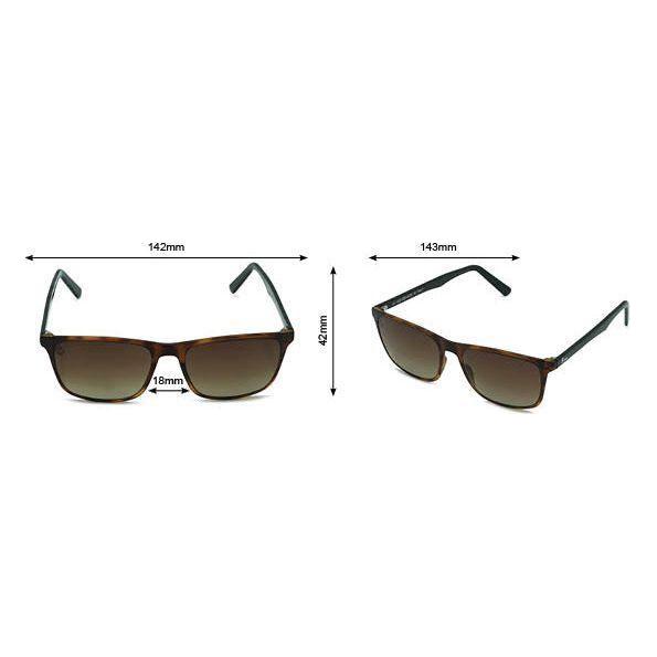 Seaphatch - Phieres - Brn Tort Blk Brn - Sonnenbrille