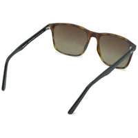 Seaphatch - Phieres - Brn Tort Blk Brn - Sonnenbrille