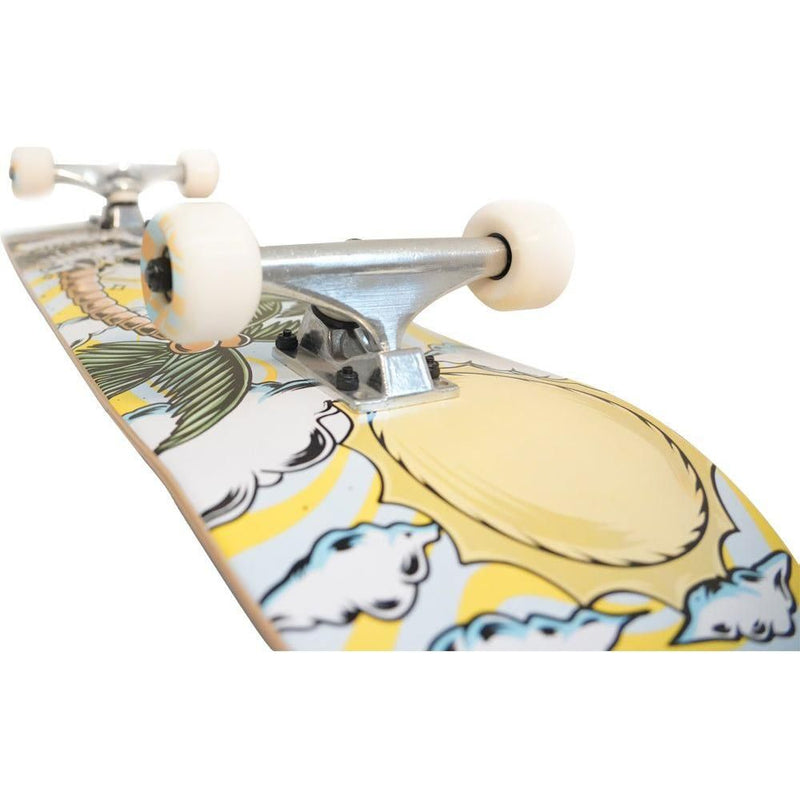 Noholiskullday Complete - MOREBOARDS - Holiskullday8 - Complete Skateboard