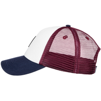 Icon Mesh