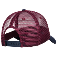 Icon Mesh