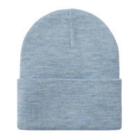Carhartt WIP - Acrylic Watch Hat - Dusty Ice Heather - Beanie