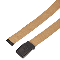 Cog Belt