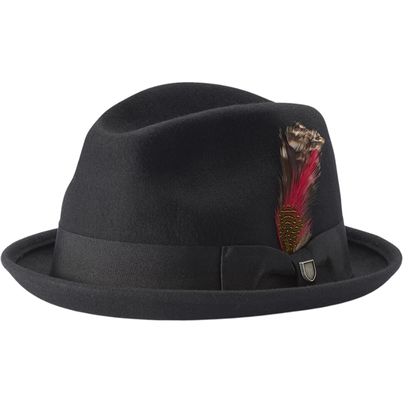 GAIN FEDORA