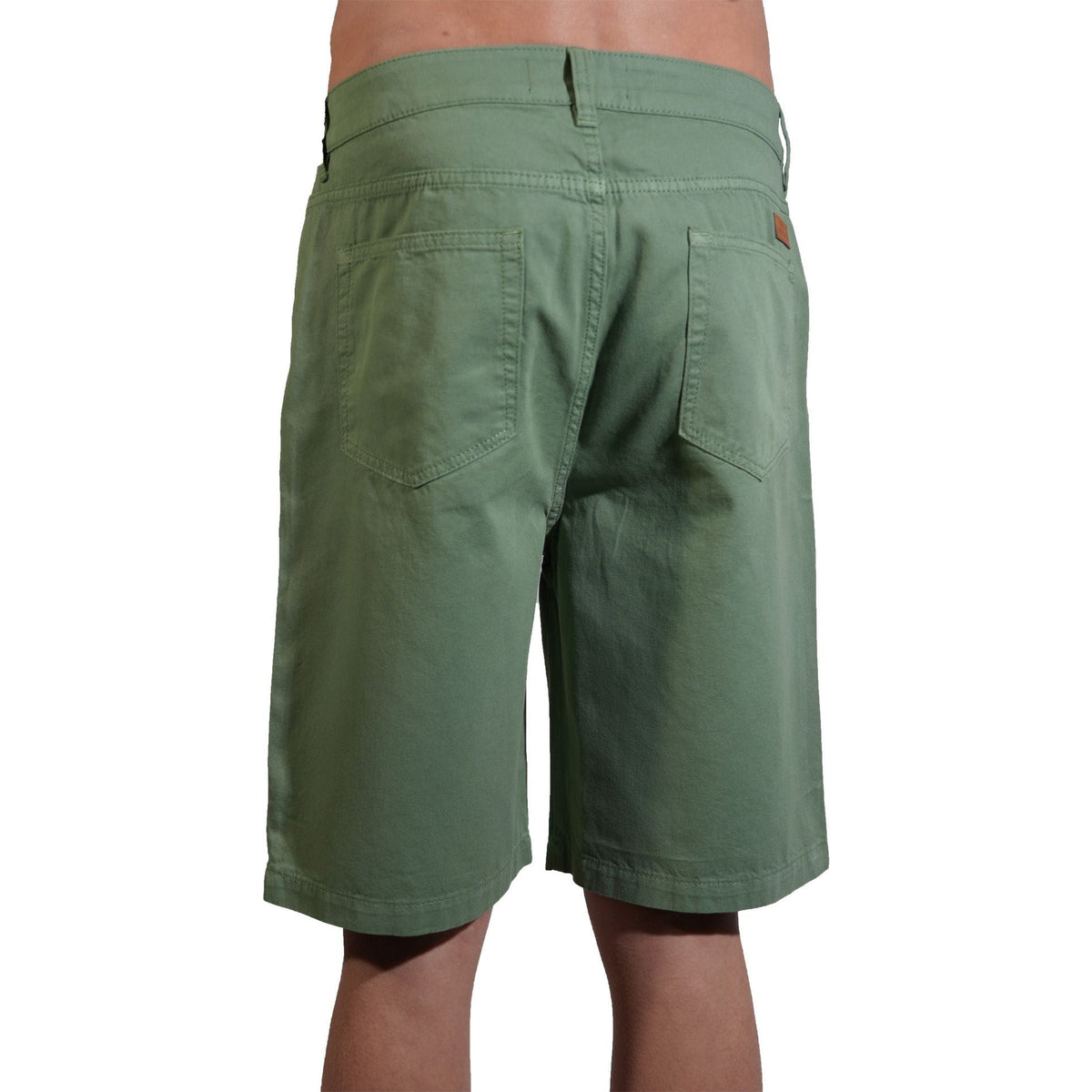 BN-ClasNOsic 21 Fern Green Bild 2