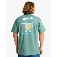 Gimmicks SS Sagebrush Bild 2