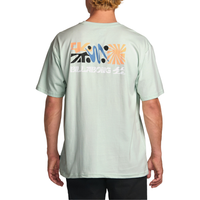 Segment Ash Blue Bild 2