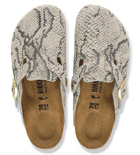 Boston Rivet Logo Suede Leather Snake Oyster Bild 3