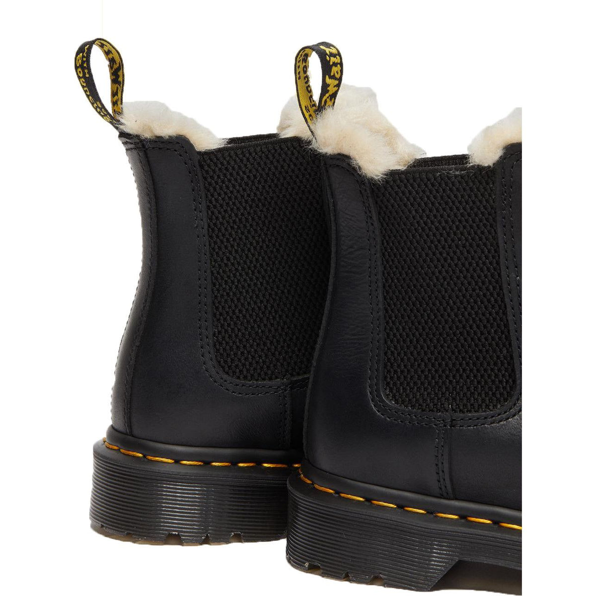 2976 Leonore Black Wyoming Bild 8