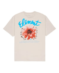 Dahlia SS Oat Milk Bild 2