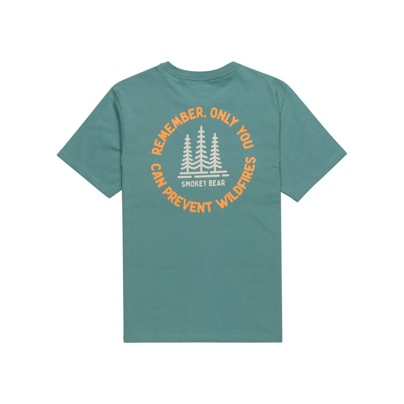 Sbxe Remember Trellis Bild 2