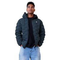 Survivalph Jacket - Phieres - Charcoal Green - Winterjacke