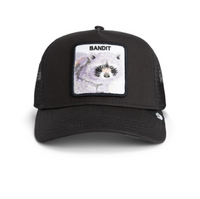 Bandit Trucker Void Bild 1