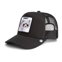 Bandit Trucker Void Bild 2