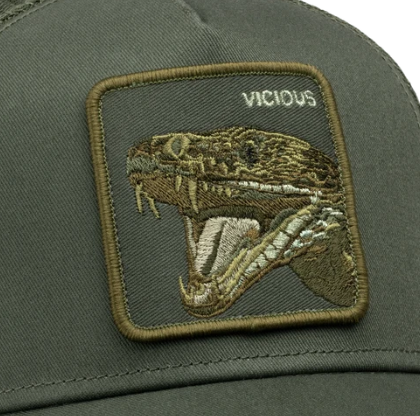 Circle Of Life - Vicious Palm Bild 3
