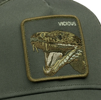Circle Of Life - Vicious Palm Bild 3