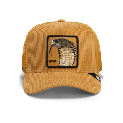 Corduroy Boss Amber Bild 1