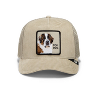 Corduroy Top Dog Scout Bild 1