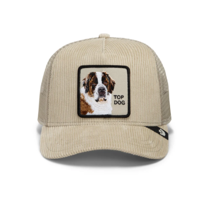 Corduroy Top Dog Scout Bild 1