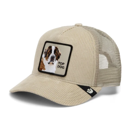 Corduroy Top Dog Scout Bild 2