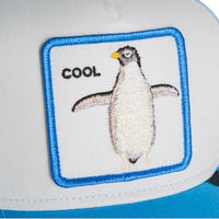 Cruise Blue Bild 3