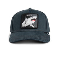 H025-Smurf Black/Void Bild 1