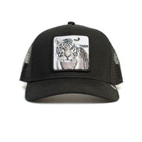 KIDS-Earn Your Stripes Black Bild 1