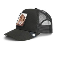 King Trucker Void Bild 2