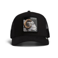 Legend Trucker Void Bild 1