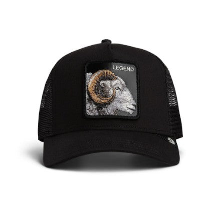 Legend Trucker Void Bild 1