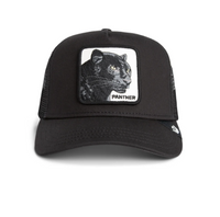 Panther Trucker Void Bild 1