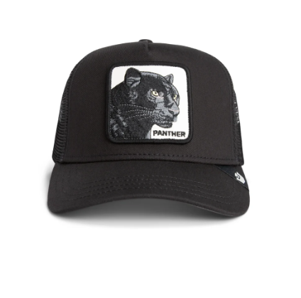 Panther Trucker Void Bild 1