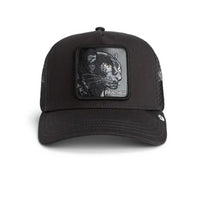 Panther Trucker Void Bild 1