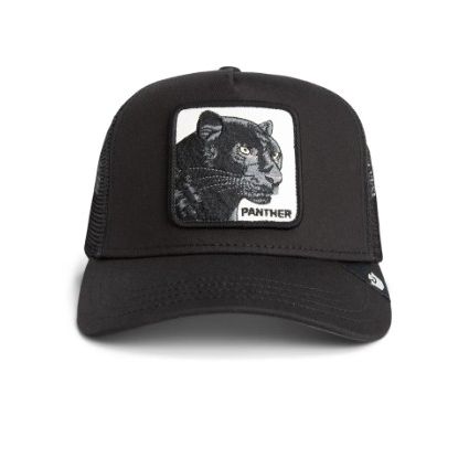 Panther Trucker Void Bild 1