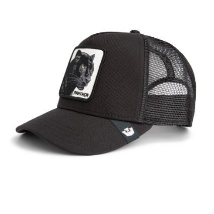 Panther Trucker Void Bild 2