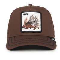 Porcupine Brown Bild 1